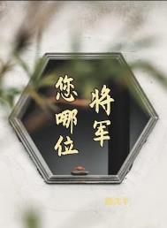将军,您哪位? 将军,您哪位?